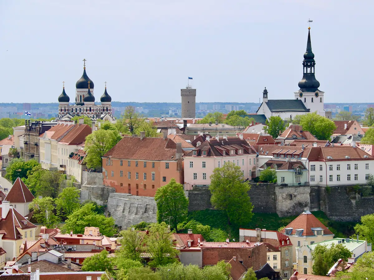 Organizational change through values, mission, vision and people | Member spotlight: Estonia